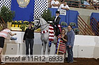 11r12_6933 proof