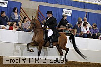 11r12_6969 proof