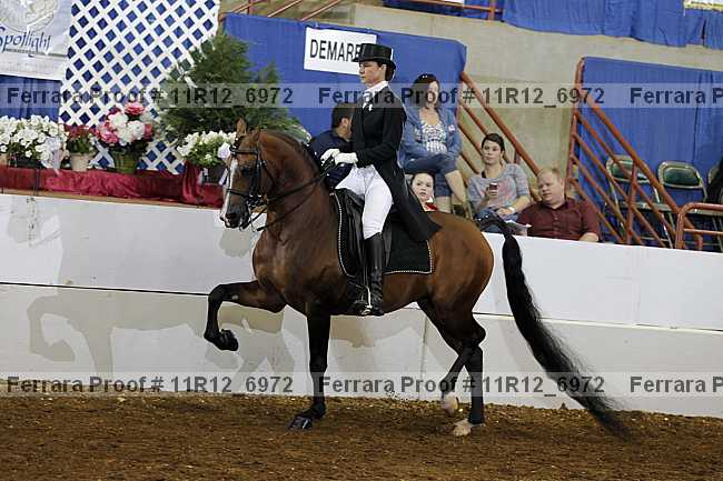 Proof 11r12_6972