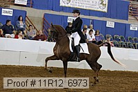 11r12_6973 proof