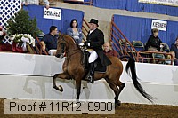 11r12_6980 proof