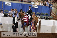 11r12_6985 proof