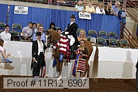 11r12_6987 proof