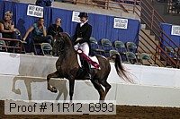 11r12_6993 proof