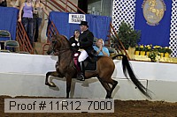 11r12_7000 proof