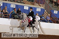 11r12_7002 proof