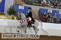 11r12_7004 proof