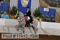 11r12_7006 proof
