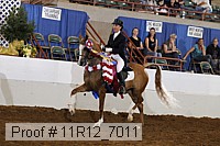 11r12_7011 proof
