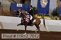 11r12_7012 proof