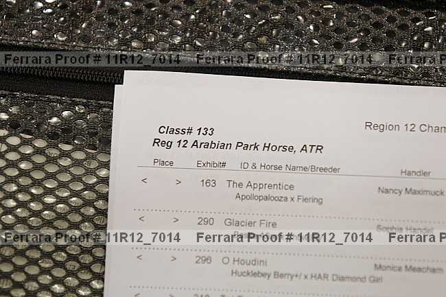 Proof 11r12_7014