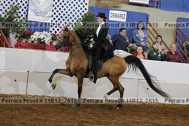 Proof 11r12_7015