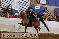 11r12_7018 proof