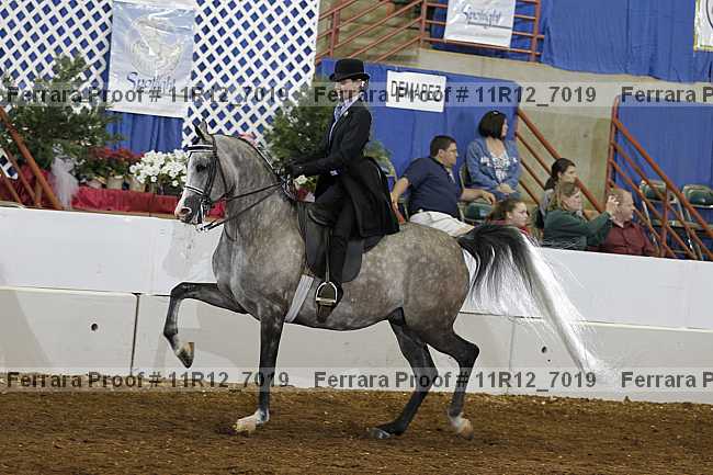 Proof 11r12_7019