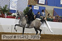 11r12_7019 proof