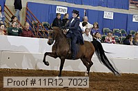 11r12_7023 proof