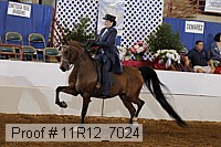 11r12_7024 proof