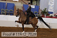 11r12_7029 proof