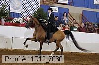 11r12_7030 proof