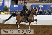 11r12_7031 proof