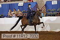 11r12_7032 proof
