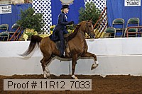 11r12_7033 proof