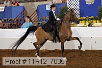 11r12_7035 proof