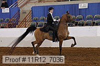 11r12_7036 proof
