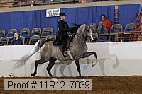 11r12_7039 proof