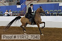 11r12_7040 proof