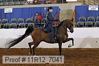 11r12_7041 proof