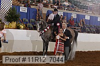 11r12_7044 proof