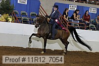 11r12_7054 proof