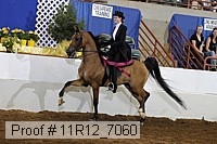 11r12_7060 proof