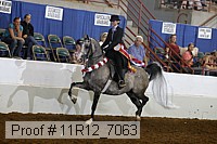 11r12_7063 proof