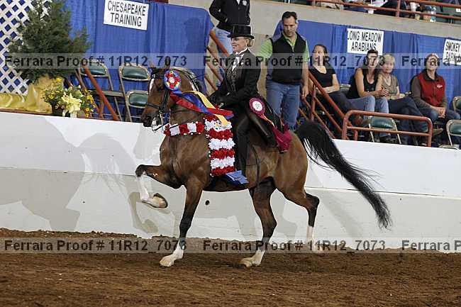 Proof 11r12_7073