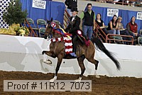 11r12_7073 proof