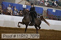 11r12_7079 proof