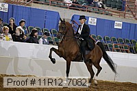 11r12_7082 proof