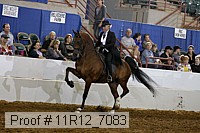 11r12_7083 proof