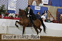 11r12_7084 proof