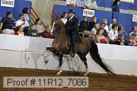 11r12_7086 proof
