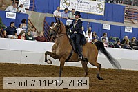 11r12_7089 proof