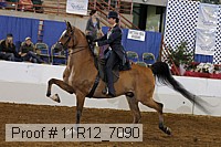 11r12_7090 proof