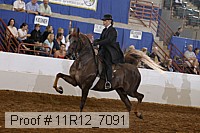 11r12_7091 proof