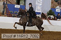 11r12_7092 proof