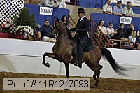 11r12_7093 proof