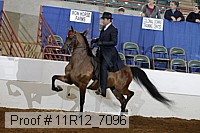 11r12_7096 proof