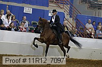 11r12_7097 proof