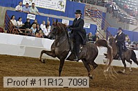 11r12_7098 proof